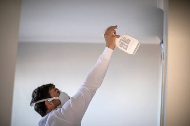 Best Attic Mold Removal  in St Pete Beach, FL